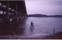 Lake Worth frozen over, December 1983-January 1984 (095-022-180)